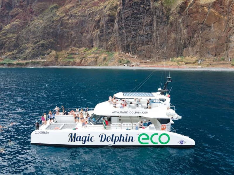 From Funchal: Ecological Catamaran Dolphin Whale Watching - The boat: hybrid-electric power, 20-knot speed, and viewing you can use