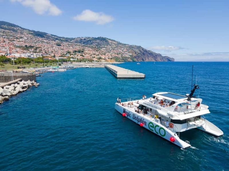 From Funchal: Ecological Catamaran Dolphin Whale Watching - The return cruise: Cabo Girão, Câmara de Lobos, and Churchill’s Madeira link