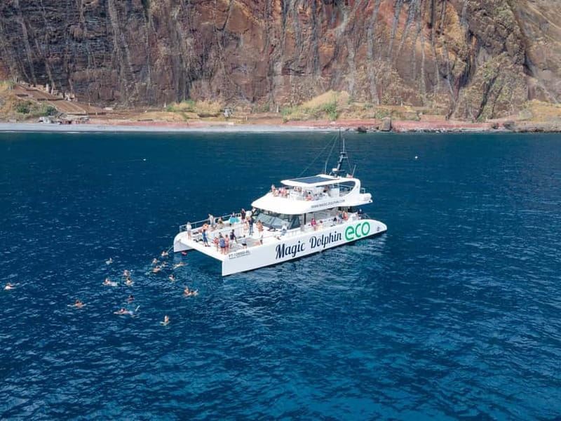 From Funchal: Ecological Catamaran Dolphin Whale Watching - Who should book this tour—and who should choose differently