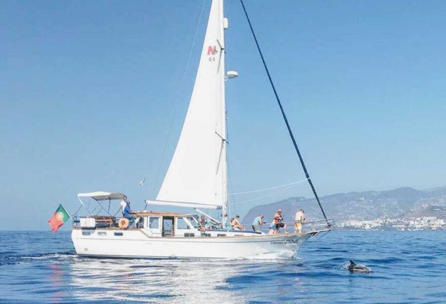 From Funchal: West Bays Sailing Tour with Lunch - West-coast sailing views: bays and cliffs you can’t replicate from land