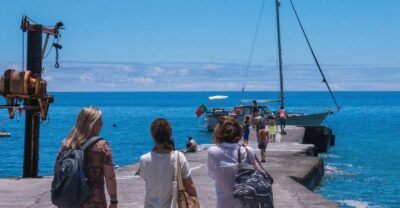 From Funchal: West Bays Sailing Tour with Lunch - The wildlife search: dolphins, whales, and sea turtles off Madeira