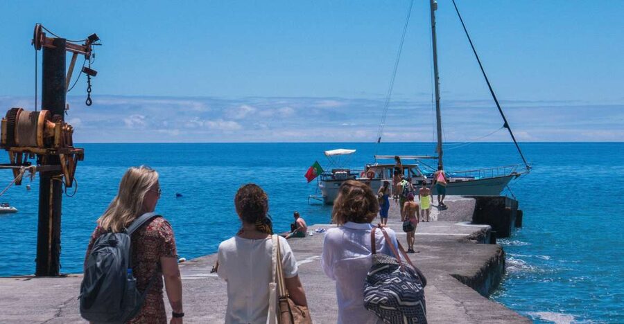 From Funchal: West Bays Sailing Tour with Lunch - The wildlife search: dolphins, whales, and sea turtles off Madeira