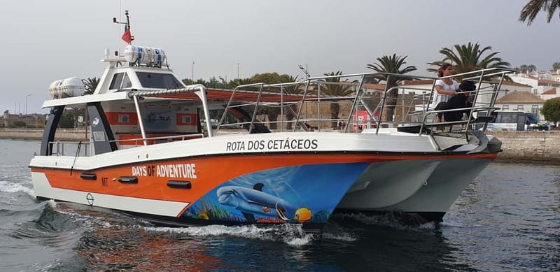 From Lagos: Benagil Caves Catamaran Cruise - Swimming near Benagil: refreshing, but only under the right conditions