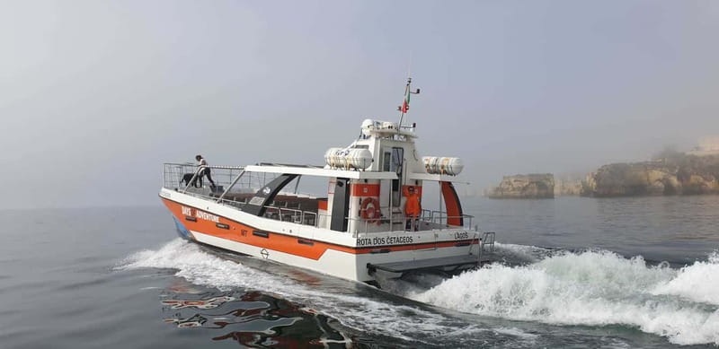 From Lagos: Benagil Caves Catamaran Cruise - Price and value: is $47 per person a good deal?