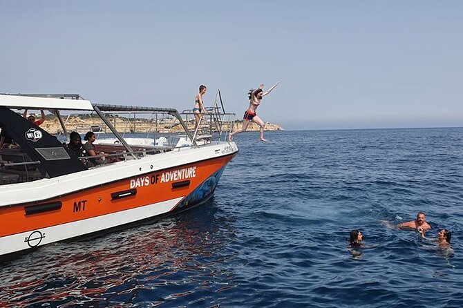 From Lagos: Benagil Caves Cruise on a Catamaran - Dolphins and the coastline: the fun bonus you can’t force