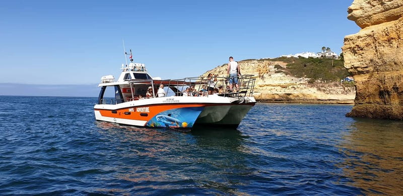From Lagos: Dolphin Watching Catamaran Cruise - Key highlights before you go