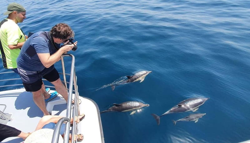 From Lagos: Dolphin Watching Catamaran Cruise - Practical tips so your cruise goes smoothly
