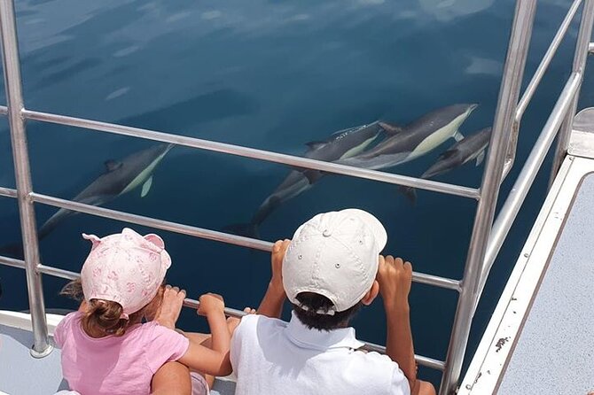 From Lagos: Dolphin Watching Cruise on a Catamaran - Key highlights to know before you go