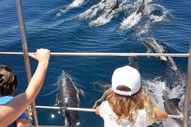 From Lagos: Dolphin Watching Cruise on a Catamaran - Why this Lagos cruise feels worth it