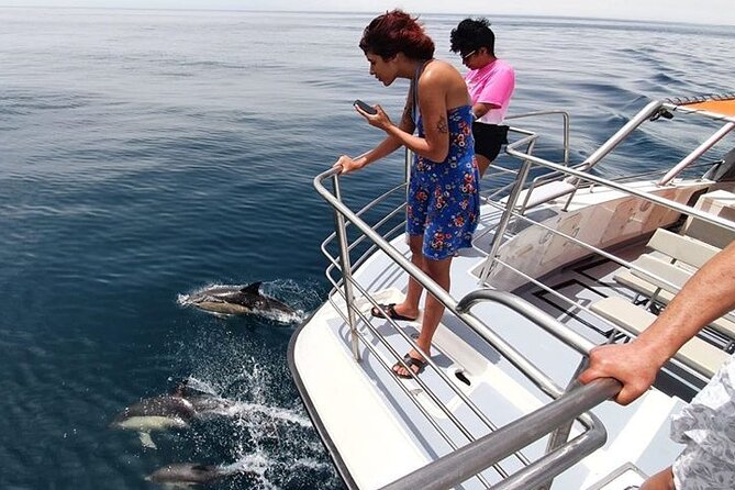 From Lagos: Dolphin Watching Cruise on a Catamaran - The search for dolphins: what the skipper actually does