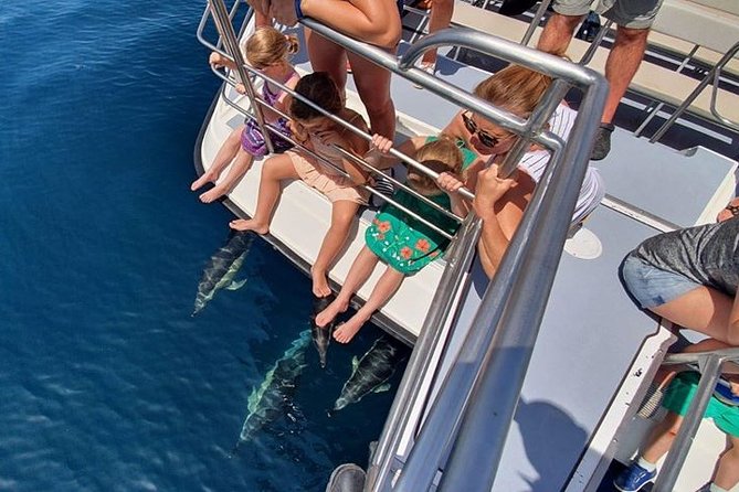 From Lagos: Dolphin Watching Cruise on a Catamaran - Price and value: does $48.39 make sense?