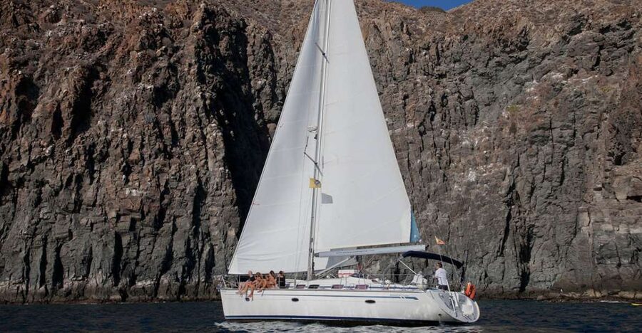 From Los Gigantes: Whale Watching Sailboat Cruise - Los Gigantes whale watching from Picarus Sailing Club