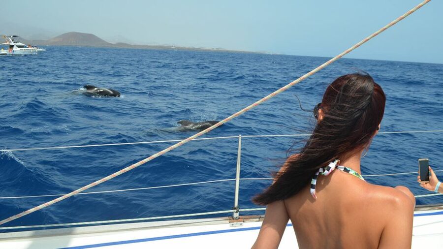 From Los Gigantes: Whale Watching Sailboat Cruise - Duration, timing, and what to plan for