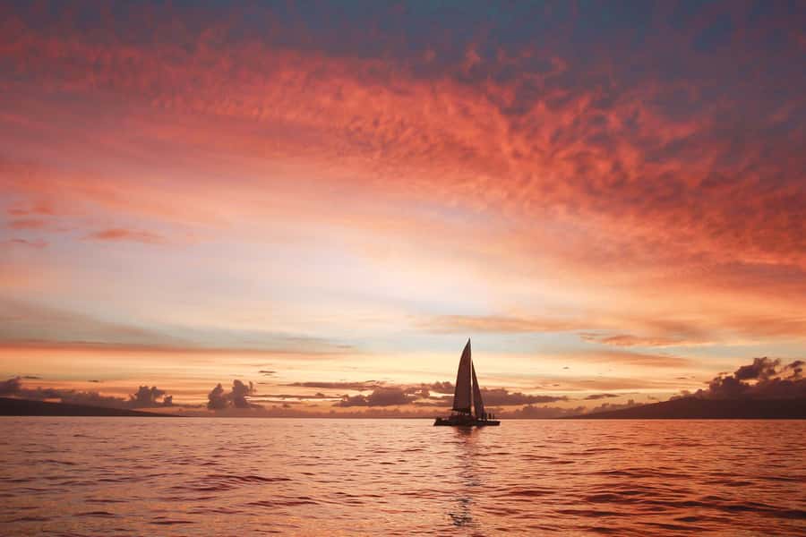 From Ma'alaea: 'Alihilani Sunset Sail Catamaran Tour - ‘Alihilani catamaran comfort: space to sit, shade to cool down, and that net moment