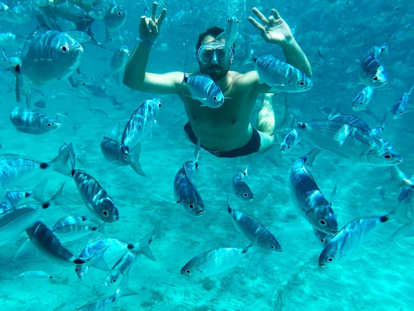 From Palau: La Maddalena Archipelago Catamaran Tour w/ Lunch - Meeting at Piazza del Molo: Getting Started Without Stress