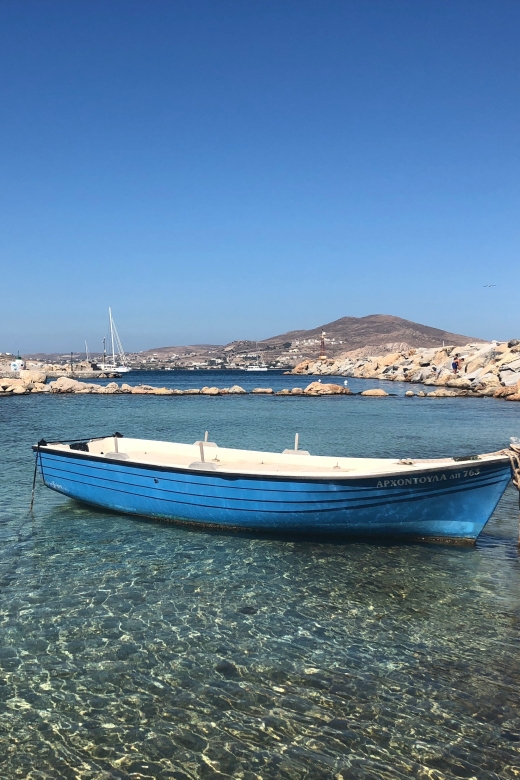 From Paros: Mykonos Full-Day Trip by Catamaran - Price and value: is $79 a good deal for this day?