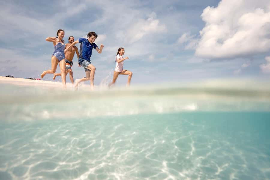 From Port Douglas: Outer Reef Cruise by Luxury Catamaran - Key highlights that make this day work