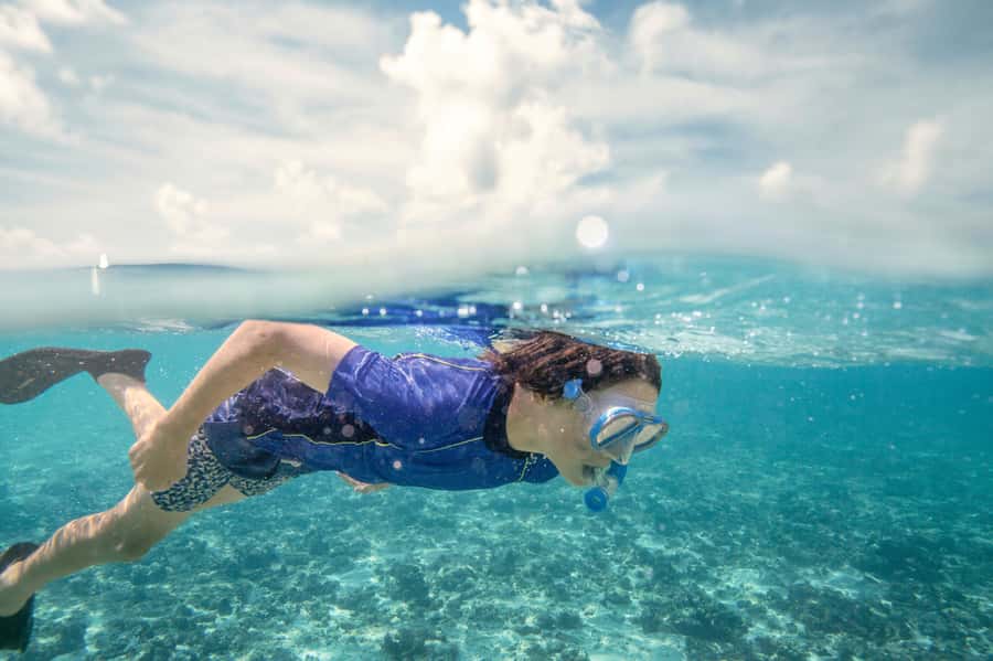 From Port Douglas: Outer Reef Cruise by Luxury Catamaran - The 2-hour sailing to the Outer Great Barrier Reef (and the Daintree views)