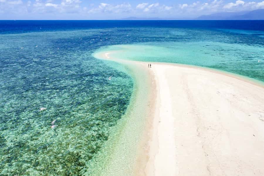 From Port Douglas: Outer Reef Cruise by Luxury Catamaran - Reef site #1 at Mackay Cay: snorkelling with the marine biologist
