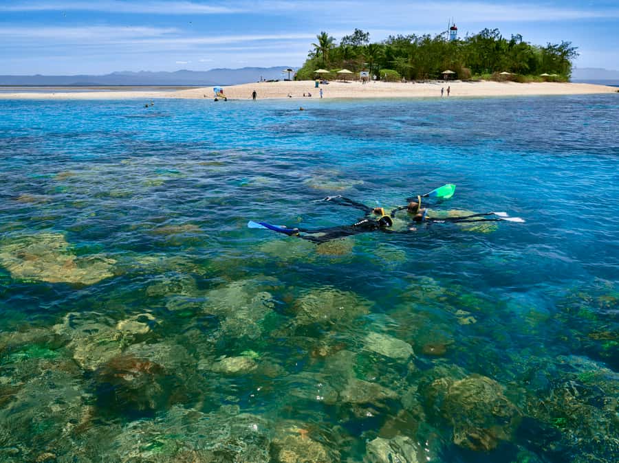 From Port Douglas: Sail to Low Isles Great Barrier Reef - Low Isles Great Barrier Reef: why this cay feels calmer than most