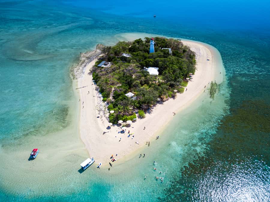 From Port Douglas: Sail to Low Isles Great Barrier Reef - Snorkeling with turtles, plus the glass bottom boat option