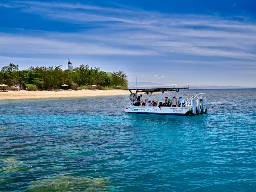 From Port Douglas: Sail to Low Isles Great Barrier Reef - Quicksilver Wavedancer: the 30-meter sailing catamaran experience