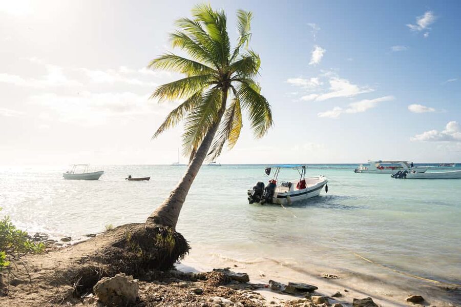 From Punta Cana: Catamaran Tour to Saona Island with Open Bar and Buffet - The Key Stuff You Actually Get