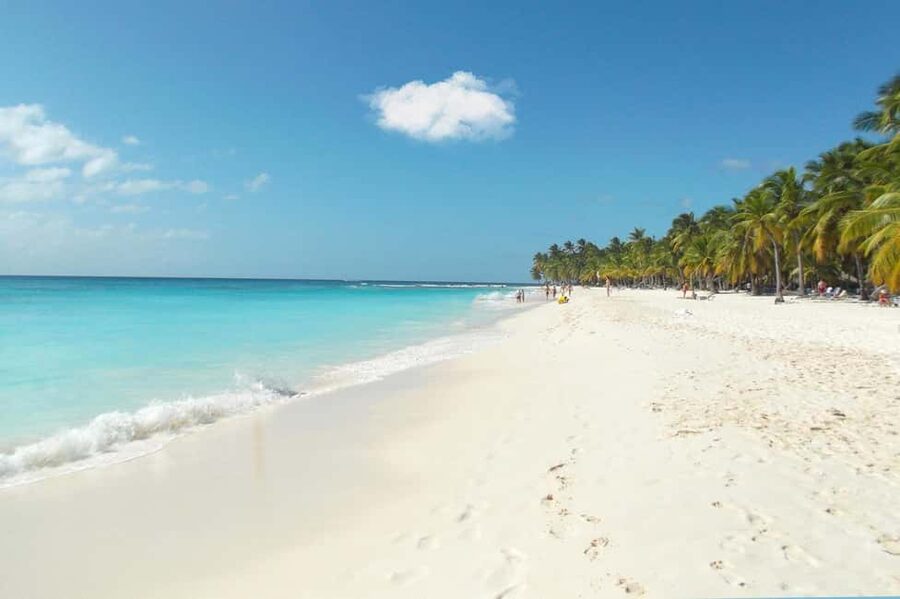 From Punta Cana: Catamaran Tour to Saona Island with Open Bar and Buffet - The Natural Pool Stop: Warm Shallows, Sandbar Views, and Starfish Etiquette
