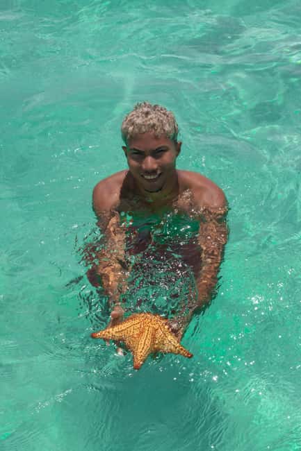 From Punta Cana: Catamaran Tour to Saona Island with Open Bar and Buffet - Buffet Lunch on Saona: Dominican Flavors Plus Vegetarian Options