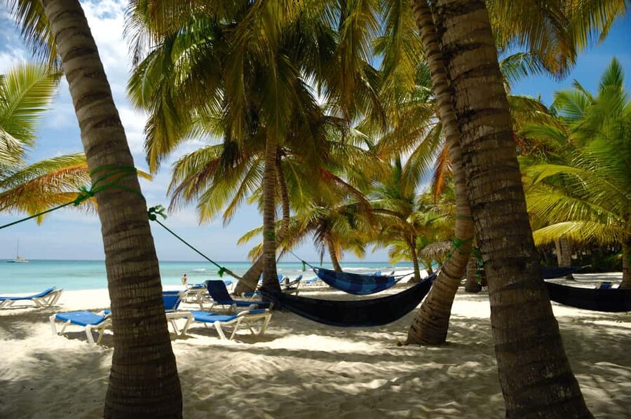From Punta Cana: Catamaran Tour to Saona Island with Open Bar and Buffet - Who This Saona Catamaran Tour Fits Best