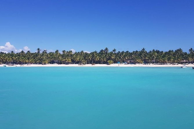 From Punta Cana: Saona Island Full Day For Small Group Catamaran - Lunch and Open Bar: Included Comfort, Not a Wild Night