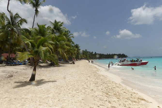 From Punta Cana: Saona Island Full Day For Small Group Catamaran - Pickup, Transport, and the One Thing That Can Affect Your Day