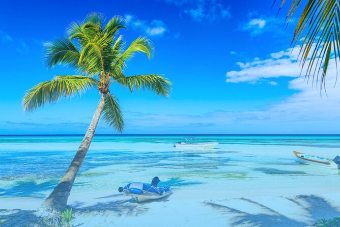 From Punta Cana: Saona Island Full Day For Small Group Catamaran - Price Check: Does $78 Make Sense for Saona + a Natural Pool Stop?