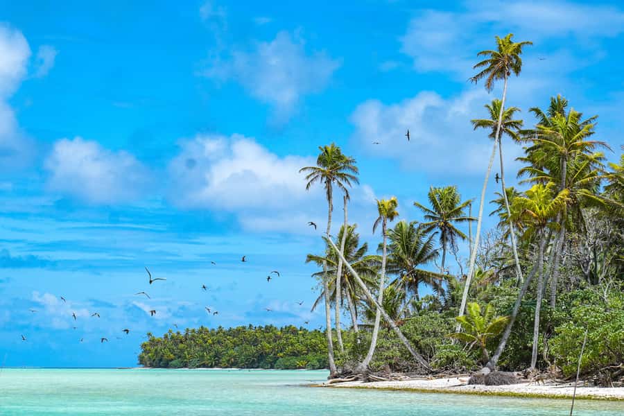 From Tahiti: Tetiaroa Island Tour by Sailing Catamaran - Key things you should know before you go