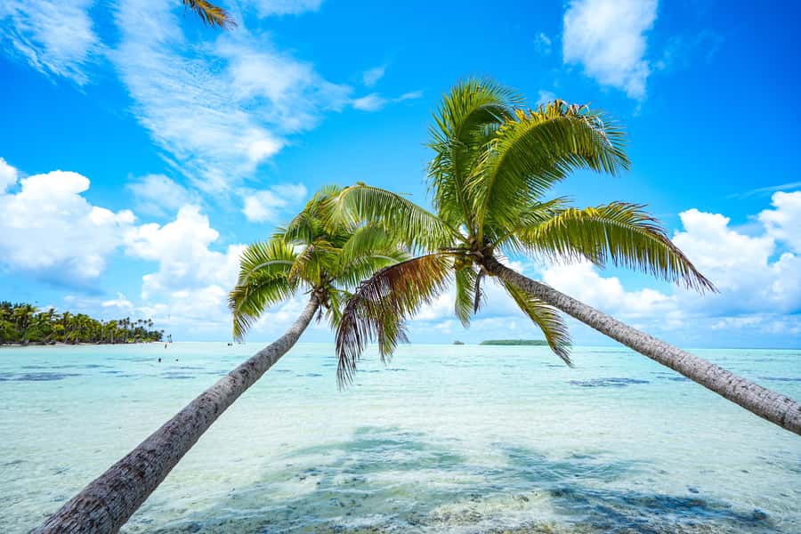 From Tahiti: Tetiaroa Island Tour by Sailing Catamaran - Sunrise start at Papeete Marina: find the green gate fast