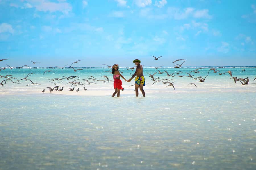 From Tahiti: Tetiaroa Island Tour by Sailing Catamaran - Lunch in paradise: coconut milk, grilled tuna, and cold drinks