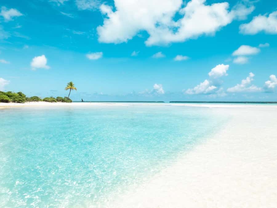 From Tahiti: Tetiaroa Island Tour by Sailing Catamaran - Snorkeling on the reef: what you can realistically expect