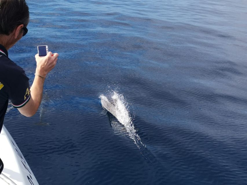 From Tazacorte: Discover the Northwest Coast by Speedy Yacht - Fancy hydrofoil with underwater vision: the view you can’t get from shore