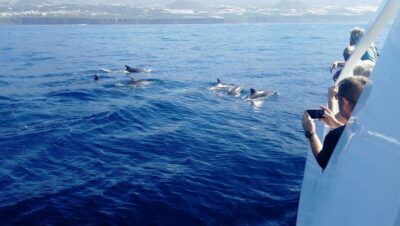 From Tazacorte: Discover the Northwest Coast by Speedy Yacht - La Cueva Bonita and La Cueva Colorada: cave time without the hike