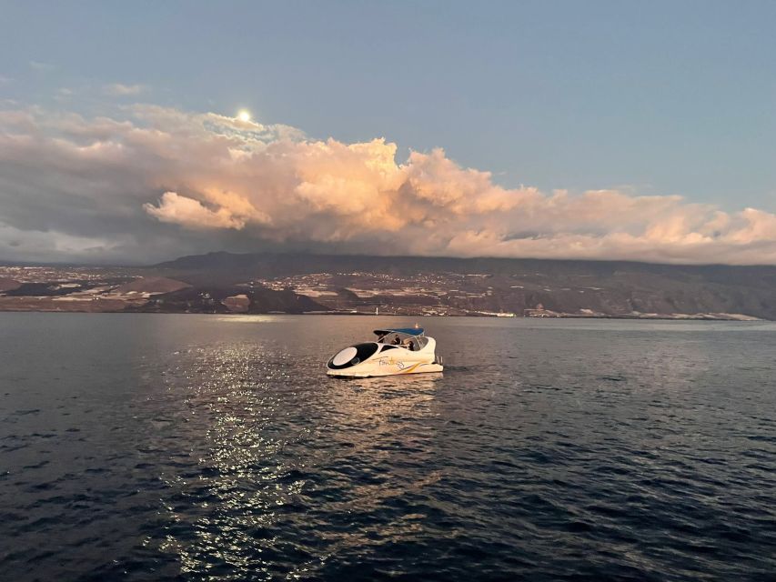 From Tazacorte: Discover the Northwest Coast by Speedy Yacht - Onboard comforts, what’s included, and what to bring