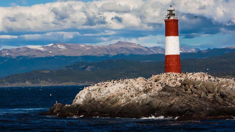 From Ushuaia: Penguin Watching Tour by Catamaran - Breeding islands for Magellanic and Imperial cormorants