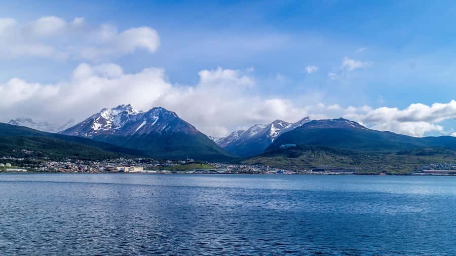 From Ushuaia: Penguin Watching Tour by Catamaran - Who should book this tour?