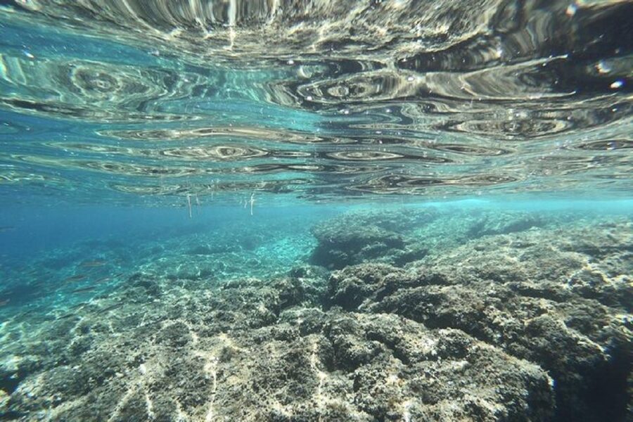 From Zadar: Half/Full Day Sailing Tour - Key things to know before you go
