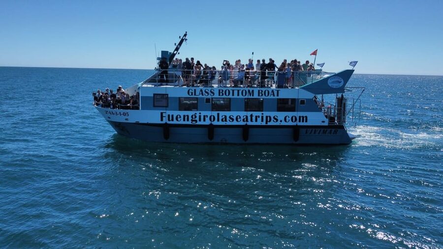 Fuengirola: Catamaran Tour to Spot Dolphins - Key things I’d bet you’ll notice right away