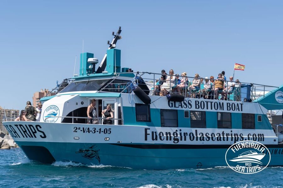 Fuengirola: Catamaran Tour to Spot Dolphins - Getting from Fuengirola Harbour out to the dolphins