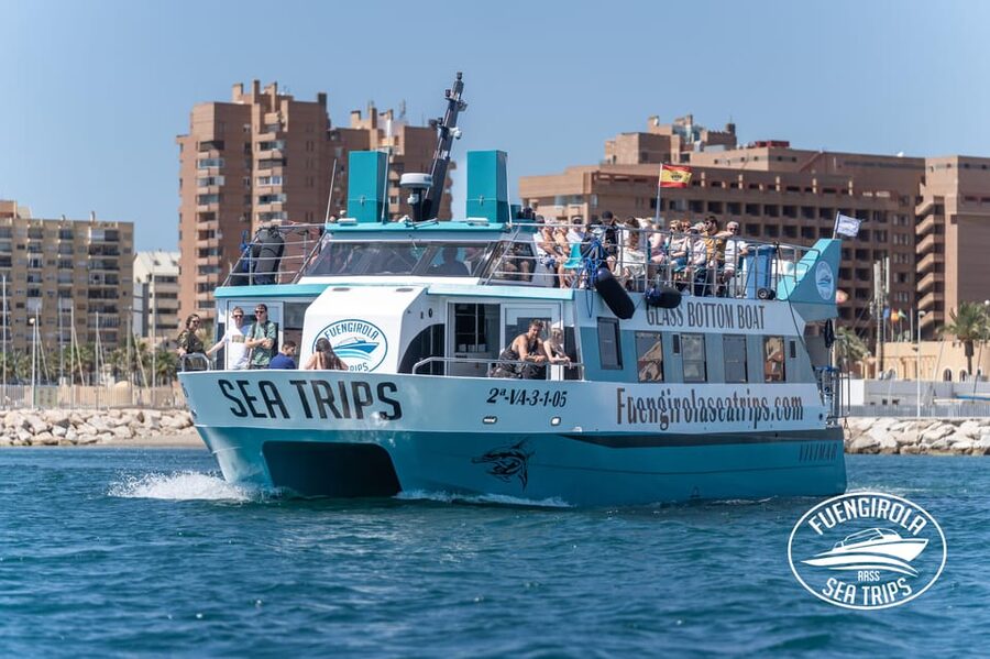 Fuengirola: Catamaran Tour to Spot Dolphins - On-board setup: upper deck views, toilets, and the bar