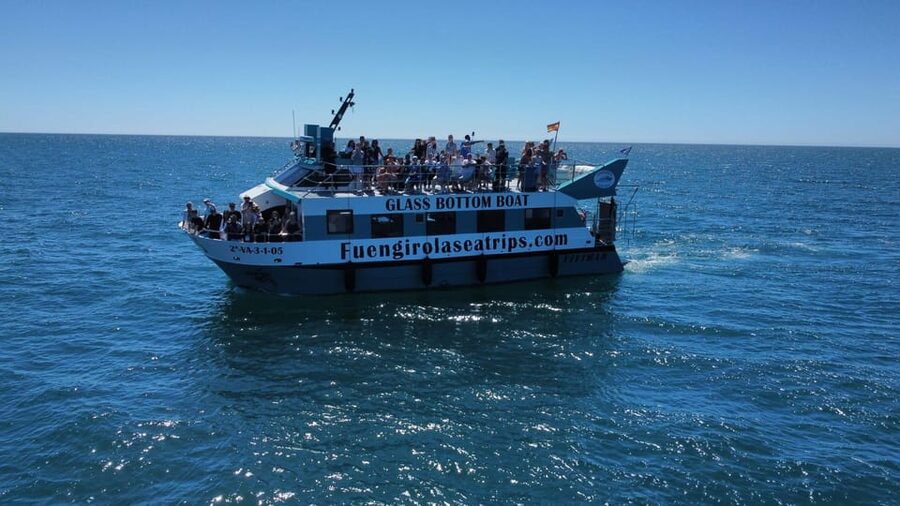 Fuengirola: Catamaran Tour to Spot Dolphins - Price and value: why $21 can make sense here