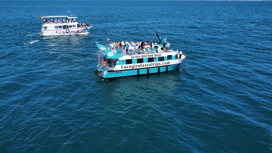 Fuengirola: Catamaran Tour to Spot Dolphins - What the skipper does when dolphins show up