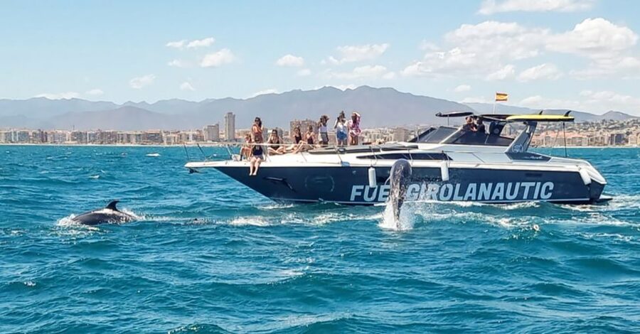 Fuengirola: Dolphin Watching by Yacht with Snacks and Drinks - Who This Yacht Dolphin Cruise Is Best For