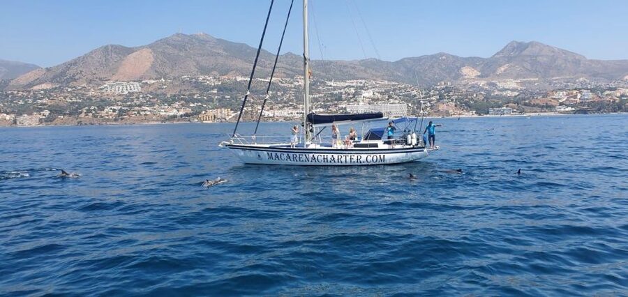 Fuengirola: Dolphin-Watching Sailing Tour with Drinks - Getting to the Fuengirola Marina boat: quick, easy, and specific
